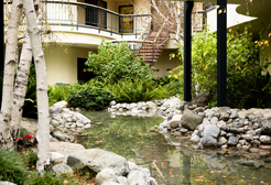 Lester Summerfield